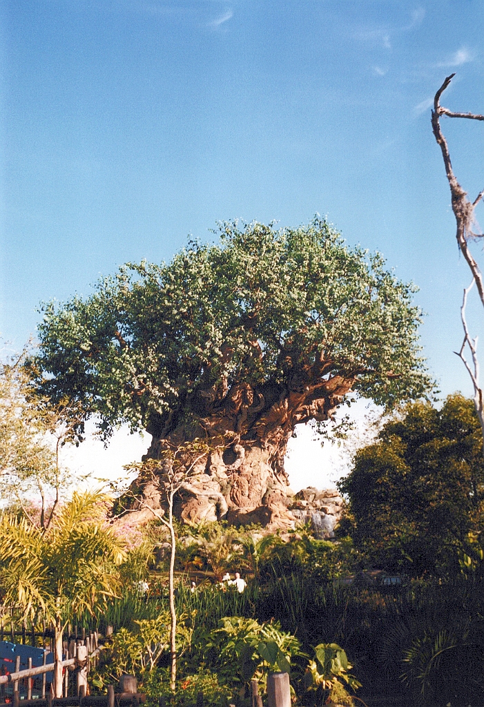 1999 - Floride 02.jpg